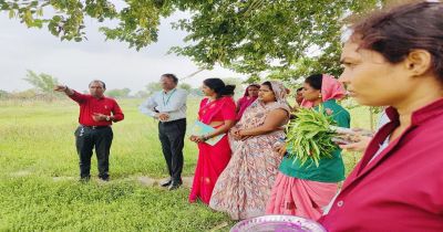 धमतरी मॉडल बना देश के लिए प्रेरणा, औषधीय खेती से महिलाओं की बदली तकदीर&hellip;.