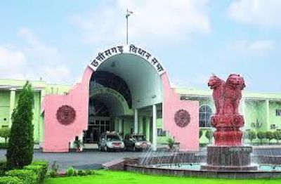 विधानसभा में बाघों की मौत पर उठे सवाल, वन मंत्री ने दिया ये जवाब