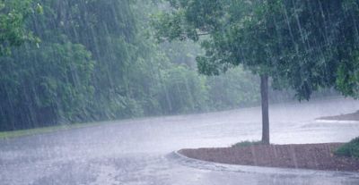 छत्तीसगढ़ के 20 जिलों में भारी बारिश का अलर्ट, महाराष्ट्र छत्तीसगढ़ का टूटा सड़क संपर्क, आवागमन ठप्प