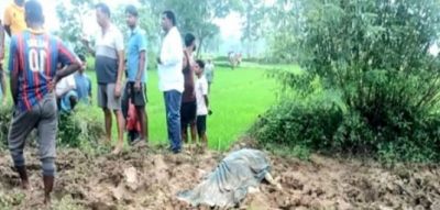 CG : दंतैल हाथी का आतंक, 4 लोगों को उतारा मौत घाट, आधा दर्जन गांवों में अलर्ट 