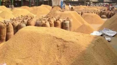 छत्तीसगढ़ के किसानों के लिए बड़ी खबर, धान बेचने से पहले कर लें ये काम नहीं तो अटक जाएगा पैसा