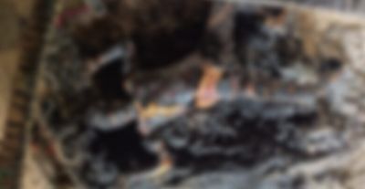 दिल दहला देने वाली घटना&hellip; खाट पर सो रही बुजुर्ग महिला की जिंदा जलकर मौत, इलाके में फैली दहशत