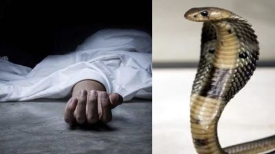 CG  : सो रहे परिवार के तीन लोगों को जहरीले सांप ने काटा, पिता-पुत्र की मौत, महिला की हालत गंभीर