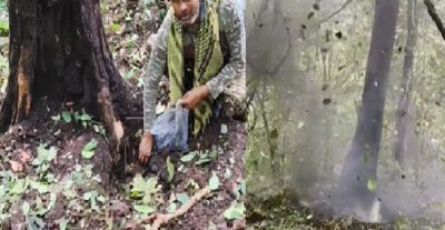 नक्सलियों के मनसूबे पर फिरा पानी, सुरक्षा बलों ने 5 किलो प्रेशर IED बम किया बरामद