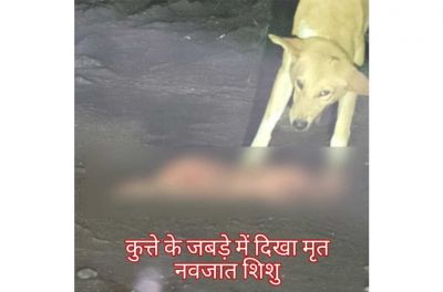 दिल दहला देने वाली घटना, आवारा कुत्ते के जबड़े में दिखा मृत नवजात शिशु, मचा हड़कंप