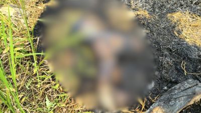 CG &ndash; युवती की मिली जली लाश : इलाके में फैली सनसनी, जताई जा रही ये आशंका