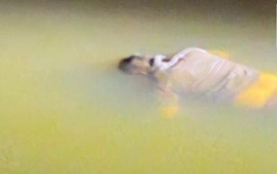 CG &ndash; हाईकोर्ट एडवोकेट की अरपा नदी में तैरती मिली लाश, हत्या या फिर&hellip;. इलाके में फैली सनसनी, पुलिस जांच में जुटी&hellip;..