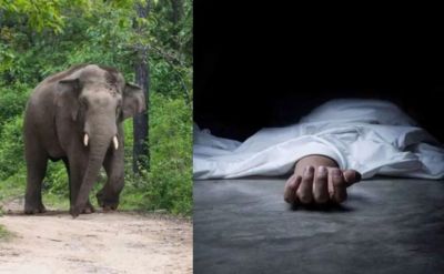 CG : छत्तीसगढ़ में जंगली हाथी का कहर, महिला को कुचलकर उतारा मौत के घाट