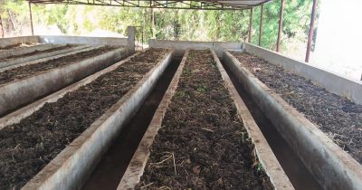 वर्मी कंपोस्ट उत्पादन बनी आत्मनिर्भरता की मिसाल