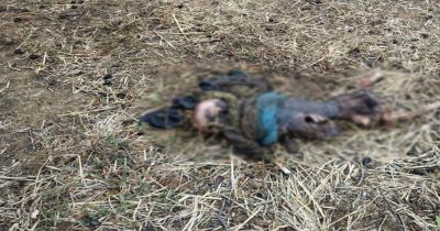 CG &ndash; खेत में मिली महिला की सड़ी-गली लाश, इलाके में फैली सनसनी, हत्या या फिर&hellip;.