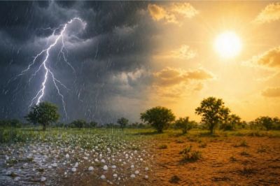 Weather Update : भीषण गर्मी से राहत! छत्तीसगढ़ में आंधी-बारिश का असर, तापमान में आई गिरावट Weather Update : भीषण गर्मी से राहत! छत्तीसगढ़ में आंधी-बारिश का असर, तापमान में आई गिरावट