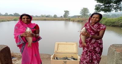 मत्स्य पालन बना ग्रामीण समृद्धि का सशक्त माध्यम मत्स्य पालन बना ग्रामीण समृद्धि का सशक्त माध्यम