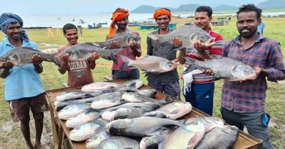 नीली क्रांति&rsquo; से समृद्धि की ओर: मछली पालन बना ग्रामीण विकास, रोजगार और आत्मनिर्भरता का नया आधार&hellip;