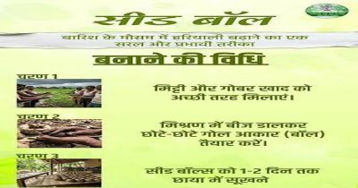 विशेष लेख : सीड बॉल अभियान- हरियाली बढ़ाने का सरल और प्रभावी माध्यम  जनभागीदारी से साकार हो रहा हरित छत्तीसगढ़ का संकल्प
