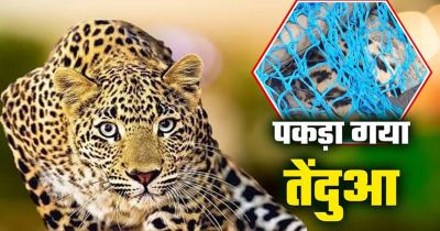 Breaking: गरियाबंद में पिंजरे में कैद हुआ तेंदुआ, महीनों से फैली दहशत का हुआ अंत Breaking: गरियाबंद में पिंजरे में कैद हुआ तेंदुआ, महीनों से फैली दहशत का हुआ अंत