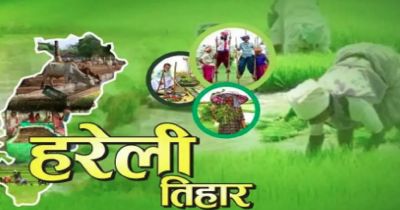 हरेली पर नवा रायपुर में जुटेगा छत्तीसगढ़ का शीर्ष नेतृत्व, CM साय समेत दिग्गज होंगे शामिल; &lsquo;हरेली अऊ गृह प्रवेश&rsquo; का भव्य आयोजन
