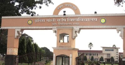 IGKV पेपर लीक पर बड़ा एक्शन: परीक्षा रद्द, 5 सदस्यीय कमेटी करेगी जांच IGKV पेपर लीक पर बड़ा एक्शन: परीक्षा रद्द, 5 सदस्यीय कमेटी करेगी जांच