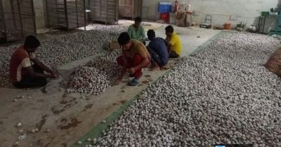 वनांचल में रेशम की चमक, नारायणपुर में टसर योजना से संवर रही ग्रामीणों की तकदीर&hellip;..