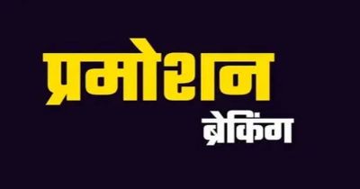 ब्रेकिंग : सहायक प्राध्यापकों को मिला प्रमोशन का तोहफा, चिकित्सा शिक्षा विभाग ने जारी किया आदेश&hellip;&hellip;