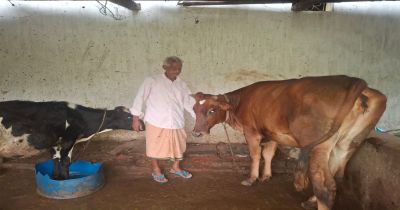 पीएम किसान सम्मान निधि की बचत से खरीदी पहली गाय, आज 10 गायों के साथ आत्मनिर्भर बने 75 वर्षीय परशुराम गुप्ता…. पीएम किसान सम्मान निधि की बचत से खरीदी पहली गाय, आज 10 गायों के साथ आत्मनिर्भर बने 75 वर्षीय परशुराम गुप्ता….