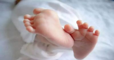 CG-जिला अस्पताल में प्रसव के दौरान जच्चा-बच्चा की मौत, परिजनों ने लगाए ये गंभीर आरोप CG-जिला अस्पताल में प्रसव के दौरान जच्चा-बच्चा की मौत, परिजनों ने लगाए ये गंभीर आरोप