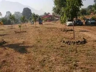 भू- काननू पर सीएम का बड़ा फैसला, बाहरी व्यक्ति अब नहीं खरीद पाएंगे जमीन, लगी रोक भू- काननू पर सीएम का बड़ा फैसला, बाहरी व्यक्ति अब नहीं खरीद पाएंगे जमीन, लगी रोक