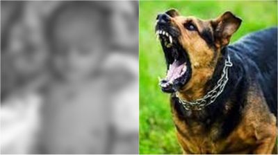 कब्र से निकाला गया 6 माह के मासूम का शव: पोस्टमार्टम में सामने आएगी मौत की वजह