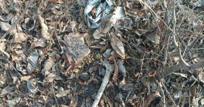 जंगल में नरकंकाल मिलने से सनसनी फैली, शव करीब एक माह पुराना जंगल में नरकंकाल मिलने से सनसनी फैली, शव करीब एक माह पुराना