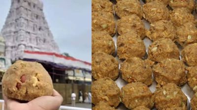 तिरुपति मंदिर के लड्डू में जानवर की चर्बी और मछली का तेल मिले होने की पुष्टि, मचा हंगामा तिरुपति मंदिर के लड्डू में जानवर की चर्बी और मछली का तेल मिले होने की पुष्टि, मचा हंगामा