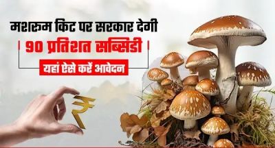 भूमिहीन किसान भी कर सकते हैं लाखों की कमाई, इसकी खेती पर मिलेगा 90% सब्सिडी, जानें कैसे करें आवेदन