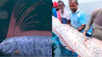 Baba Venga: दुनियाभर में दिखी कयामत वाली मछली, क्या सच होने वाली है बाबा वेंगा की भविष्यवाणी Baba Venga: दुनियाभर में दिखी कयामत वाली मछली, क्या सच होने वाली है बाबा वेंगा की भविष्यवाणी