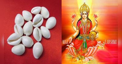 Diwali 2025 : धनतेरस और दिवाली पर खरीदें कौड़ी, खुद चलकर आएंगी मां लक्ष्मी