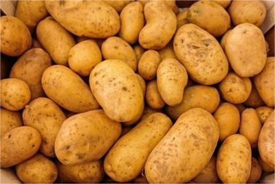 Potato Adulteration: आपकी रसोई में आलू के तौर पर &lsquo;जहर&rsquo; तो नहीं मौजूद? घर पर 1 मिनट में ऐसे करें पहचान